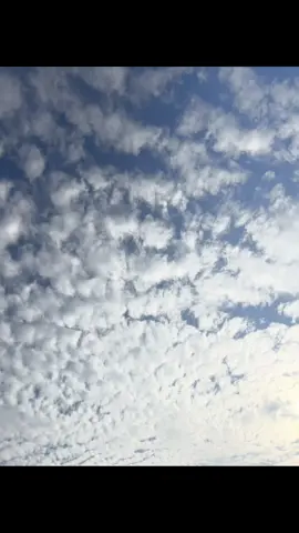 အလွတ် #fyp #foryou #အလွတ် #livephoto 