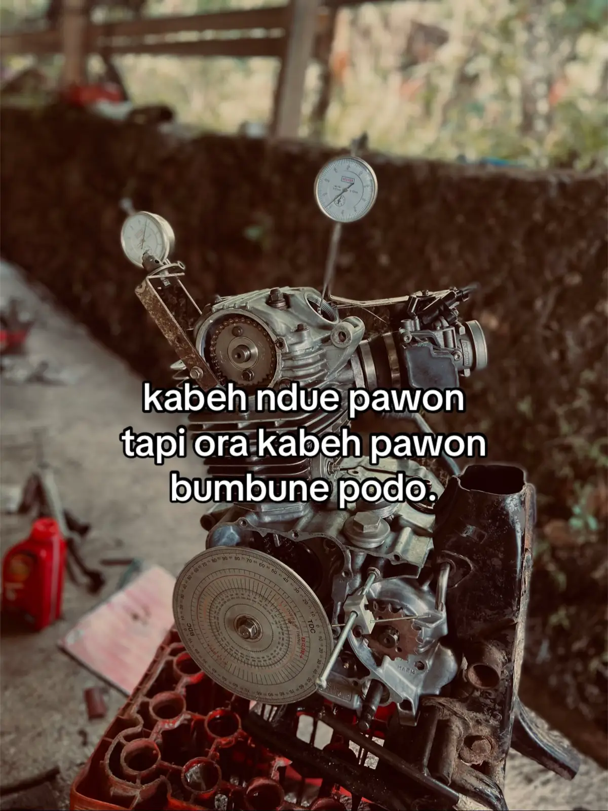 sumer” pedes😬 #cbinjeksi 