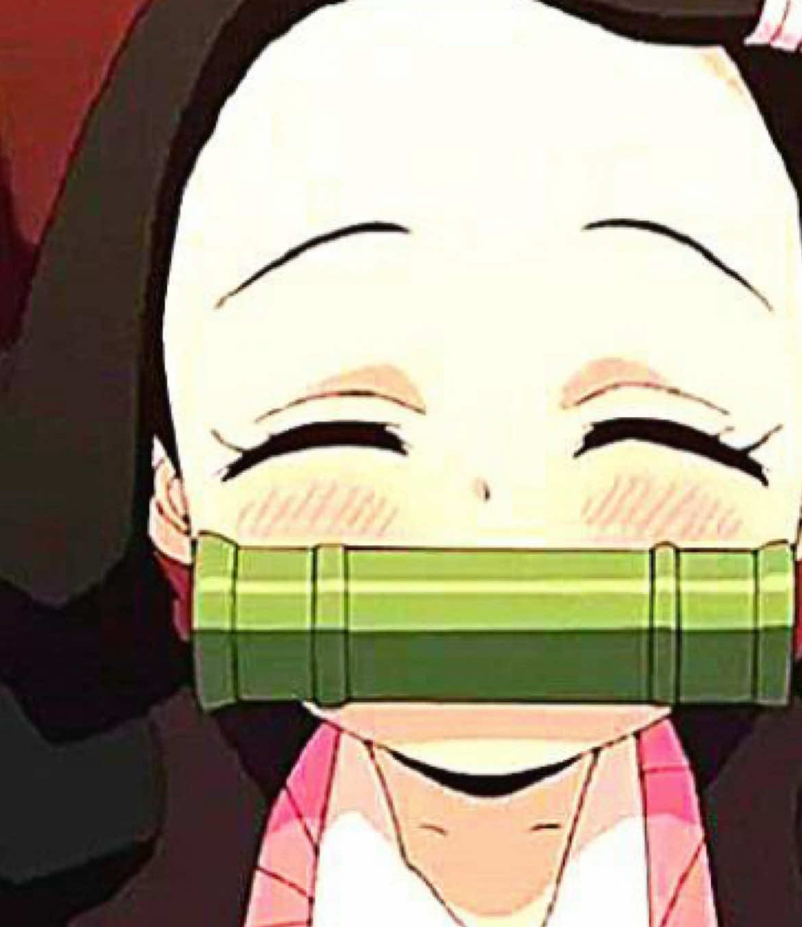 take this post then i’ll disappear for 200 years🥹✌️ #nezukokamado #kamadonezuko #nezukocosplay #kny #knycosplay 