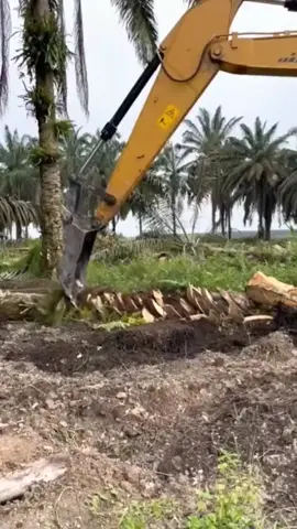 #amazing #work #ideas # creative #tricks #tips