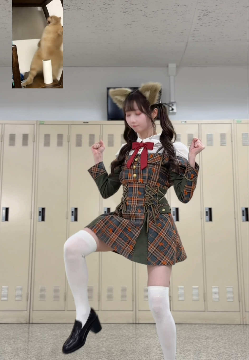 猫ダンス踊ってみたよ〜😻🎶AIじゃないよ😼 #catdance