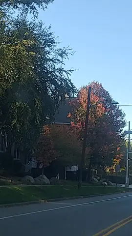 #saludmental #mujeres #dominicana🇩🇴 #vidareal #nostalgia