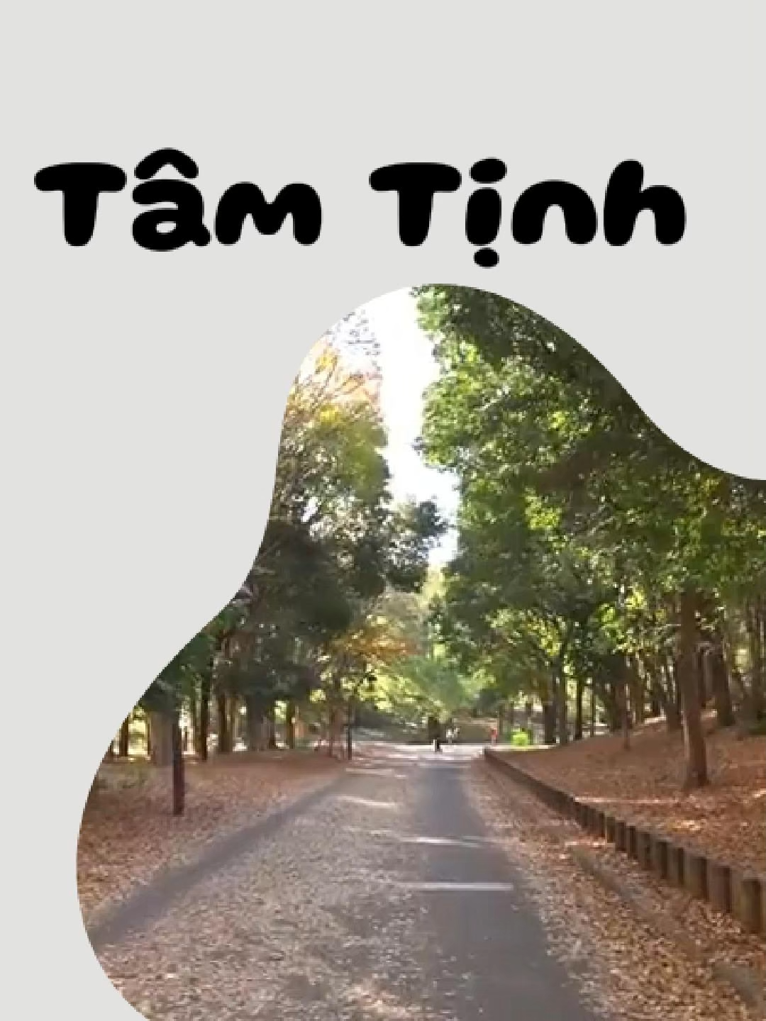 Tâm tịnh