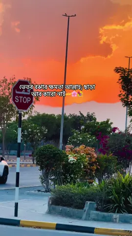 ভালোবাসলে বাসার মতো বাসো..💐❤️‍🩹#সিলেটি_ফুয়া #ফরইউতে_দেখতে_চাই #foryou #foryoupage #fyp 