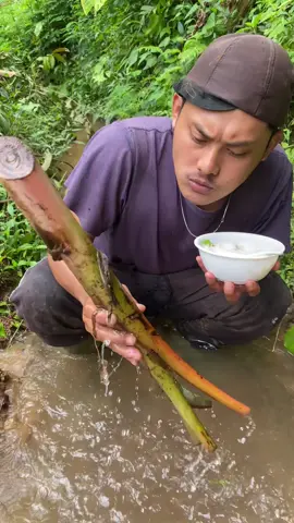 Mukbang pihon pisang #mukbang #pohonpisang #mukbangbrutal #fyp
