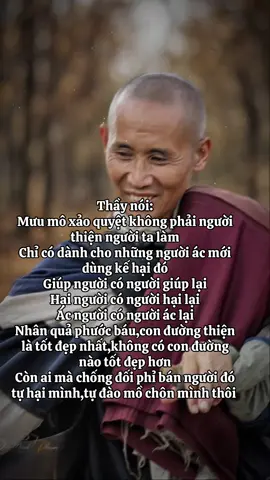 Nhân quả phước báu làm sao nhận lại đo #thayminhtue #sưminhtuệ #13hanhdauda 