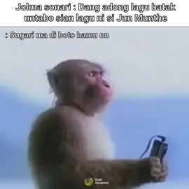 damn...  #batak #lagubatak #meme 
