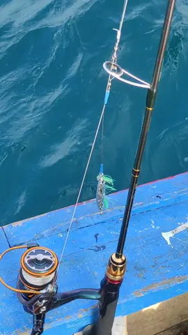 sampai jumpa goodbye sayang aku manceng. #mancing #storymancing #fyp #Allongfishing99 #mancingmania 