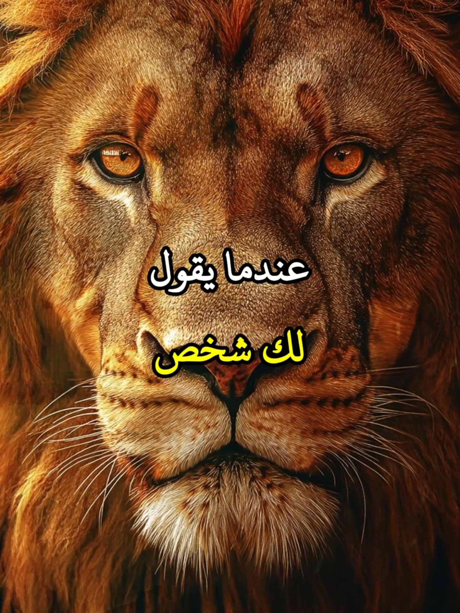 عندما يقول لك شخص لن اتركك ابدا #اقتباسات #حكمة #خواطر #اكسبلور #نجاح #علم_النفس #تطوير_الذات #كلام_من_ذهب #اطمئن #اقتباسات_عبارات_خواطر #تحفيزات_إيجابية #اللهم_صلي_على_نبينا_محمد #fyp #explorer #viral_video #psychology #motivation