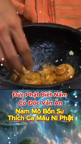 Khoảnh khắc Đức Phật Ăn Nấm Có Độc. Nam Mô Bổn Sư Thích Ca Mâu Ni Phật. #nammobonsuthichcamauniphat #loiphatday #xuhuong 