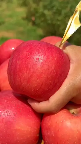 Enjoy Beautiful Sweet Fruit 🍑#fruits #nature #fresh #tropical #dailyjoy 