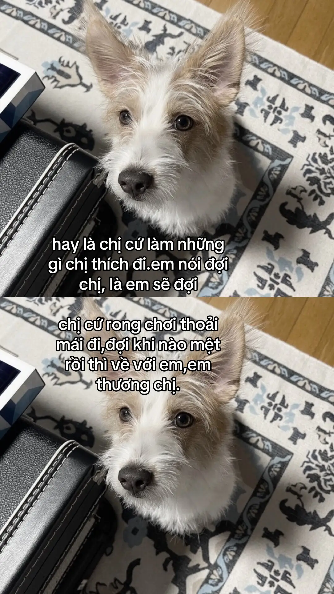 bờ vai này chỉ dành cho chị thoi,em đợi đợi chị mệt roi em đón chị về nhae#yoonsitinh 