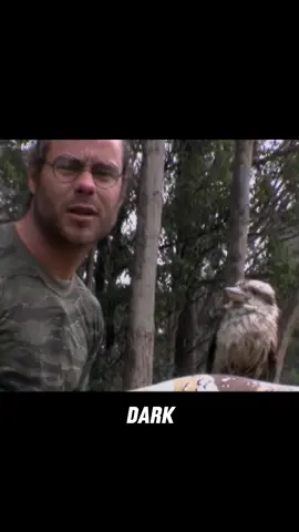 #wildlife #nature #wildboyz #natureismetal #f                   