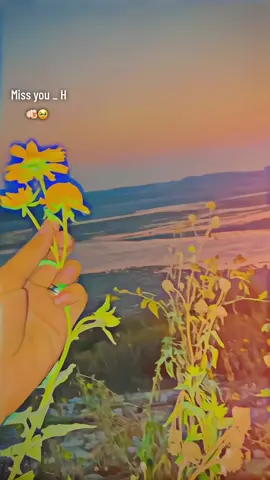 Janan _ 🙌🏻🥀 //- #unfrezzmyaccount #unfrezzmyaccount #hjani144 