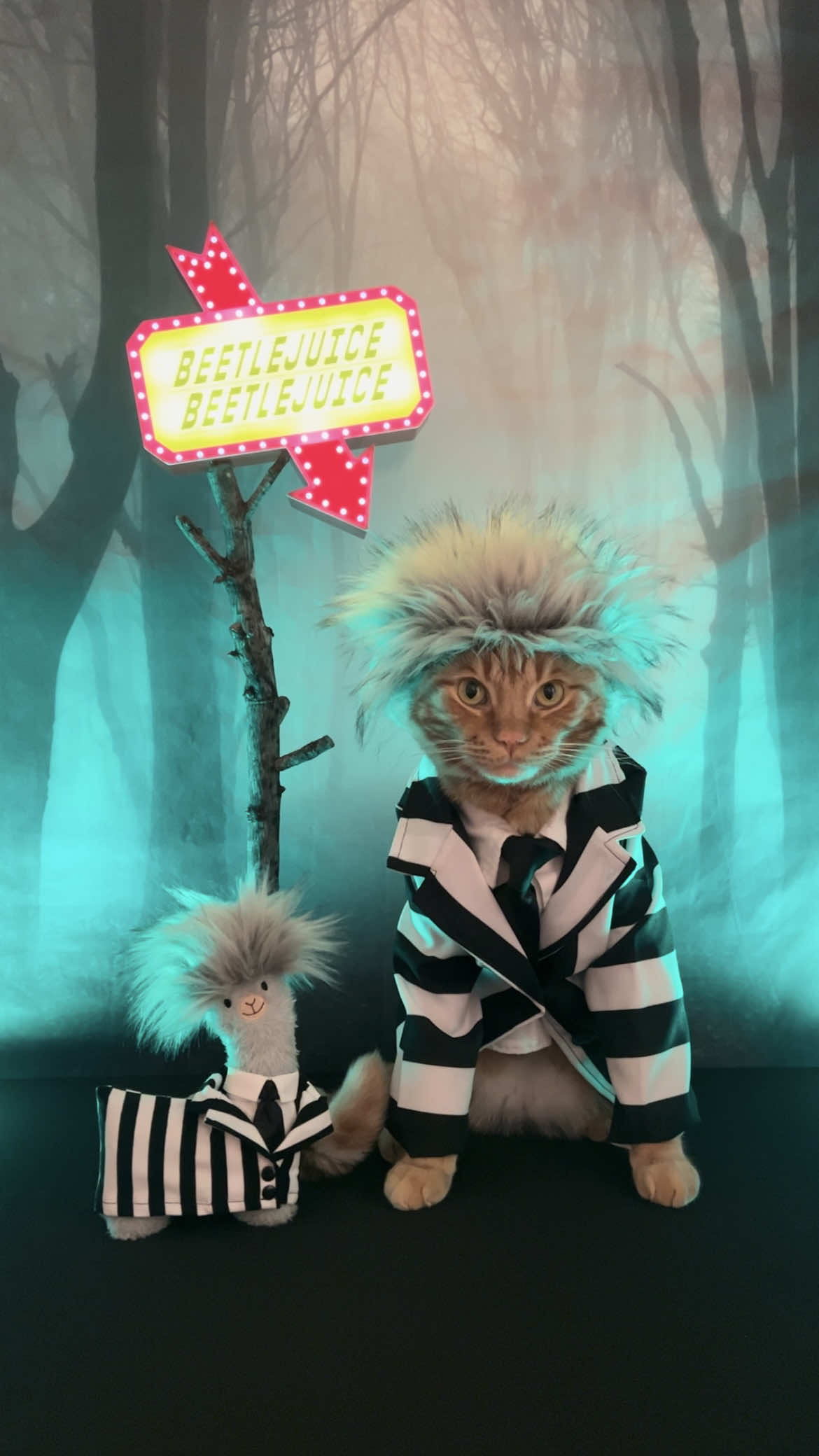 It’s Showtime! 👻 You can call me Mr. Juice! 😹💚🪲🧃Halloween 2024 🎃 #beetlejuice #TimBurton #movie #fun #tigerjojo    