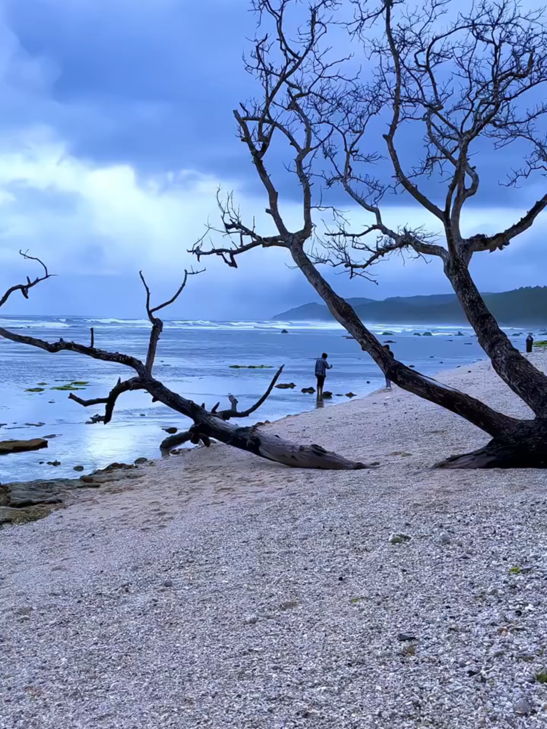 😍 ##foryou #viraltiktok #pangandaran #karapyakbeach #jawabarat