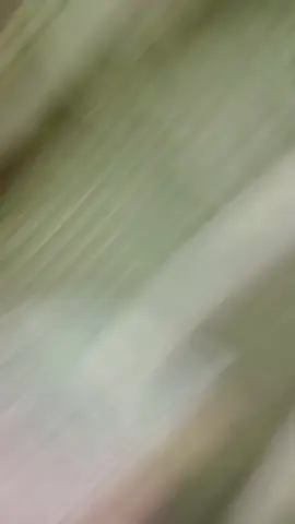 আমার কলিজা🫶❤️#