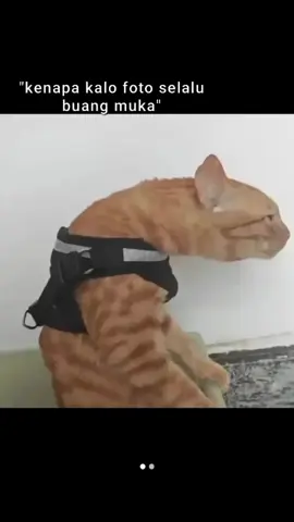 #bakekok #timnasindonesia🇮🇩 @bukanwordfangs #fyp