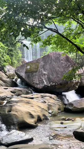නළගන ඇල්ල 🙈💚😍 කෑගල්ල දිස්ත්‍රික්කයේ බුලත්කොහුපිටිය නගරයට 9KM පමන නැගෙනහිරින් පිහිටා ඇති සුන්දර දිය ඇල්ලකි. එය රිටිගහ ඔයෙන් පෝෂනය වෙයි. #waterfalls #dolosbage #nalaganaella  #srilankan_tik_tok🇱🇰 #foryoupage 