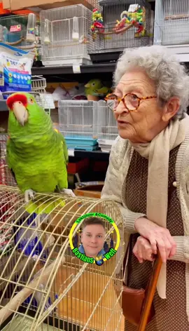 #papagei #vogel #oma #frech #humor 