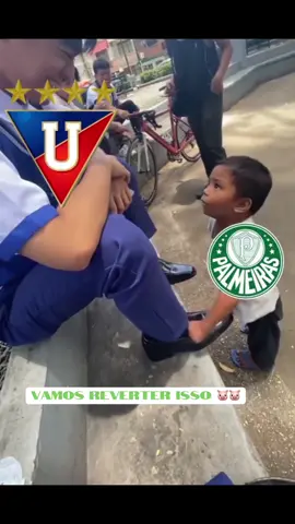 VAMOS REVERTER!!! #tiktoksports #tiktokviral #fyp #palmeiras #libertadores 