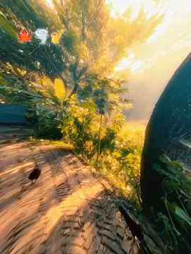 #নেশাগ্রস্ত #🍁গুরু🍁 #🍁🍁🍁 #🍁🌪️🎷