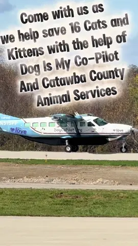 What a awesome experience!