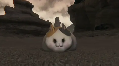 No thoughts. Just fat cat. #ffxiv #ff14 #finalfantasyxiv #ffxivtok #cat 