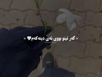 گەر تینو بووی ئەی دینەکەم خوێنی خۆمت بۆ دەڕێژم🌚🤍#xatun_heva #foryoupage #foryou #islam #fypシ 