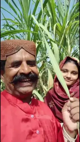 video viral kro cha #fyp #viral 