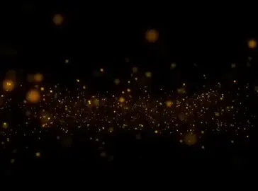 New song has been released  like an share noweira neira 