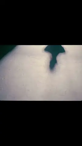 #anuel #anuelaa #lealtad #paratiiiiiiiiiiiiiiiiiiiiiiiiiiiiiii #anuel_2blea 