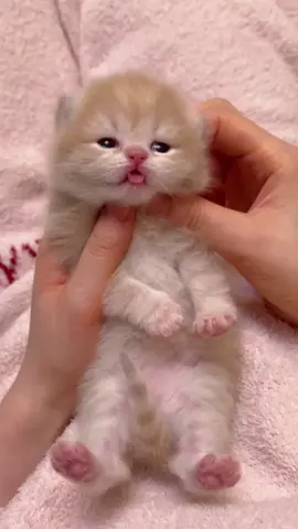 Hello, my dear baby.