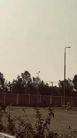 خوش ہونے کی جھوٹی اداکاری کرنے میں اپنی طاقت ضائع کرنے سے بہتر ہے مثبت کام کریں کسی کی مسکراہت کی وجہ بن جائیں کسی کے آنسوں پونچھ دیں کسی کی حوصلہ افزائی کر دیں کسی کا دل رکھ لیں کسی سے نرم لہجے میں بات کر لیں یقین کریں پھر سچی خوشی آپ کے چہرے سے جھلکے گی کیونکہ یہ نظام قدرت ہے دوسروں کو اپنی زات سے فائدہ دینے والا ہی فائدے میں رہتا ہے۔🌸 #foryoupage #lostxr #pashtosong #pashtosong #lostxr 