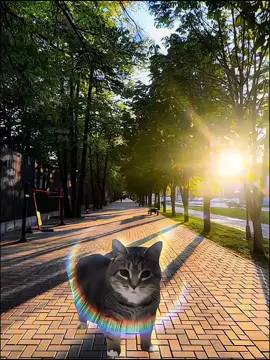 jeleg si #fypシ゚viral #fyppppppppppppppppppppppp #garame #gfx #gfxanime #memes @Forts Gabut @yubi😻 @—͟͞͞★ 𝘍ο𝓇𝚝𝗌 ★ gfx★