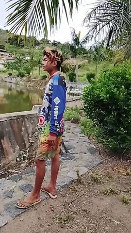 #viralllllll #libetadores2025❤️❤️ 