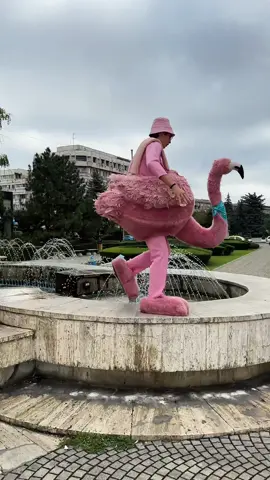 Echilibru, eleganță, rapiditate. 😅 #365deziledevara #verite #romania #fyp