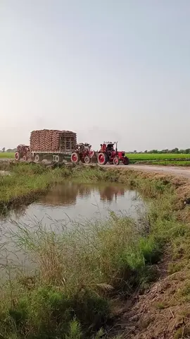 #trending #1000kviews1000klikes #1000kviews1000klikes #unfrezzmyaccount #foryoupageofficiall 