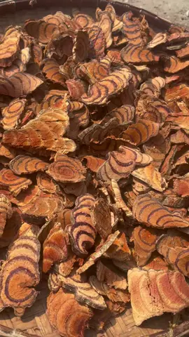 Cô dính chỉ bán cỏ máu 3 vị thôi nhé cả nhà #dinhvangoffical #xh 