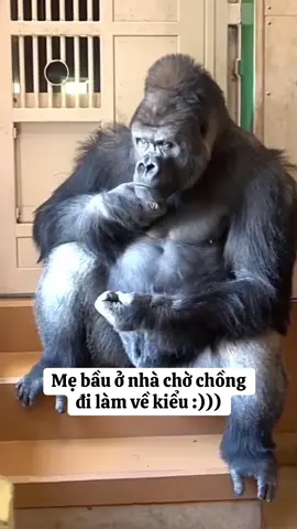 Mẹ bầu ở nhà chờ chồng đi làm về kiểu :)) #bstinsanphukhoa #mebauthongthai #xuhuong