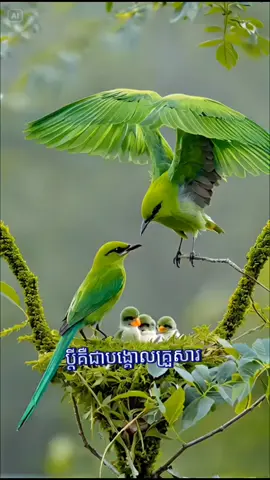 ប្ដីជាបង្គោលគ្រួសារតែបើបង្គោលនោះពុកគ្រួសារក៏ដុនដាបទៅតាមហ្នឹងដែរ#viral #pyfツ @Sam Sophanna #អត្ថន័យជីវិត🥀 