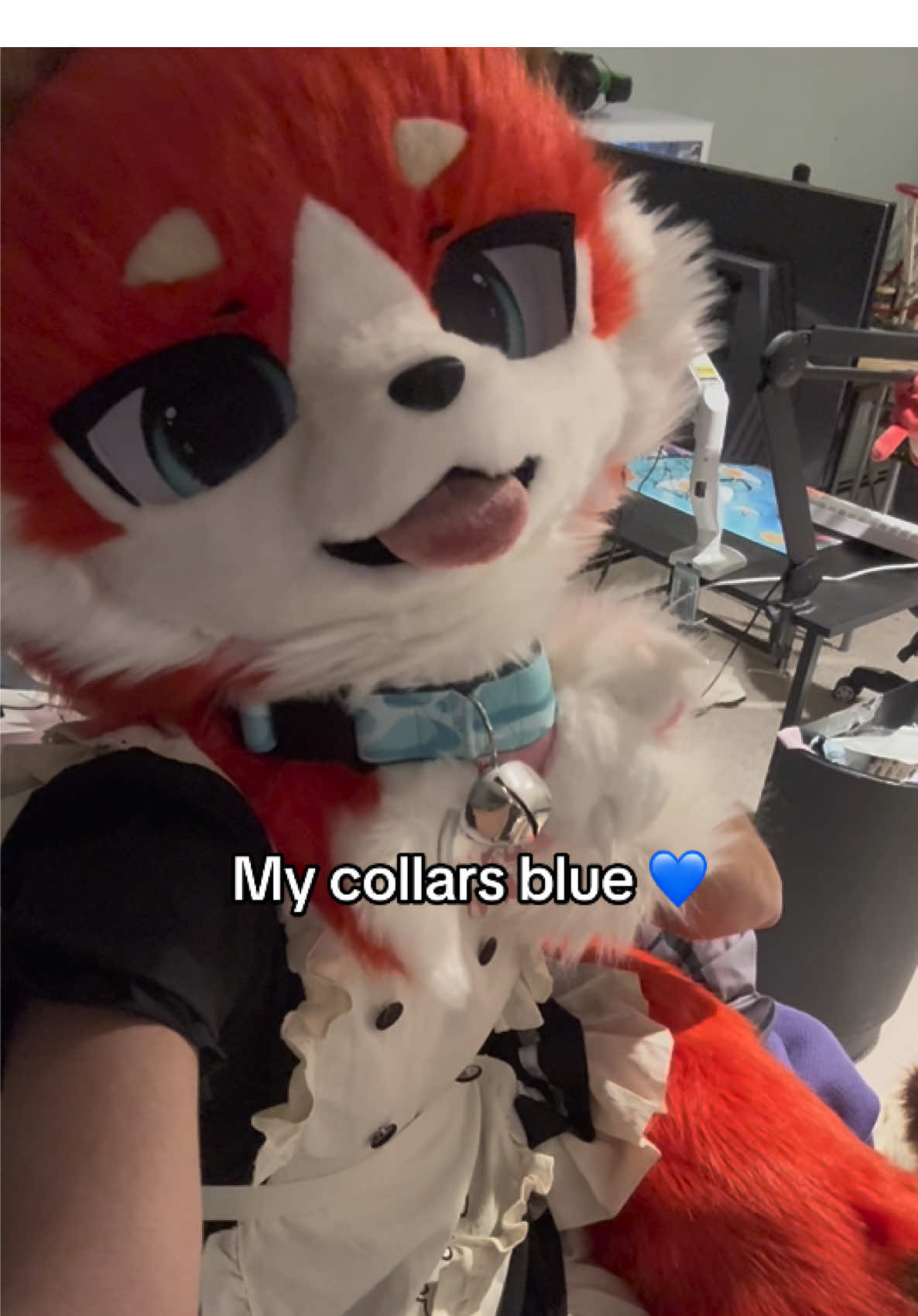 You have soft paws brother👷🧱you ain’t worked a real paw job a day in your life. You must be a sissy. A sissy boy with soft paws. Soft kissable paws that have never seen a drop of syrup 👷🧱#furry #furrytiktok #fursuit #bluecollar #rednecklife 