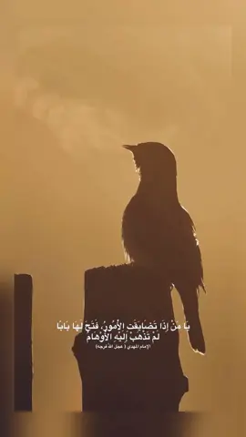 #محتوى #شعر_عراقي #حكم #امثال 