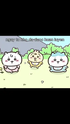 ngay từ nhỏ đã được huấn luyệnnnn #chiikawa #ちいかわ #usagi #hachiware #cuteanime 