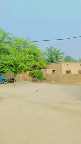 #unfrezzmyaccount #foryoupage #foryou 