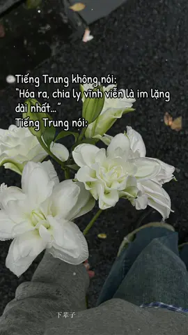 “Có những người, chỉ đến một lần…rồi thành nỗi đau cả đời” #cunghoctiengtrung #radiotiengtrung #学中文 #tiengtrungnungniu #xiaoheng19 