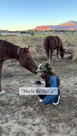 #fyp #cowgirl #horses #momlife 