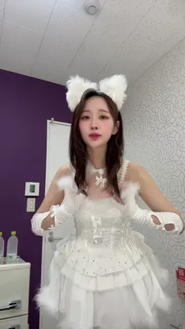 つい集めてしまうものある？