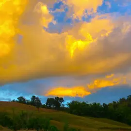 #เธรด #เธรดเพลง #รับโปรโมทเพลง #ยืมลงสตอรี่ได้ #fyp 