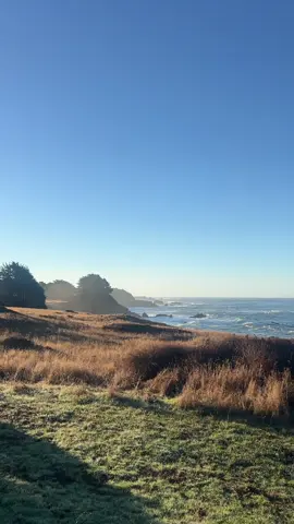 perfect California weekend 🩵 #california #coastal #norcal #travel #fyp 